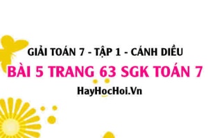 Giải bài 5 trang 63 Toán 7 Tập 1 SGK Cánh Diều